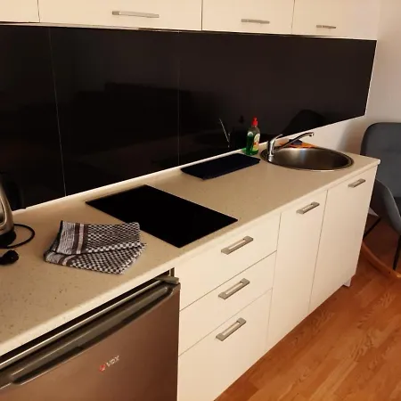 Ime Ruze Banja Vrujci Apartment *