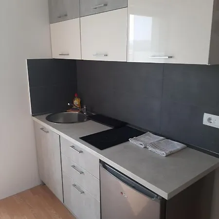 Apartment Ime Ruze Banja Vrujci Gornja Toplica