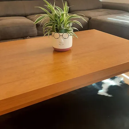 Apartment Ime Ruze Banja Vrujci *
