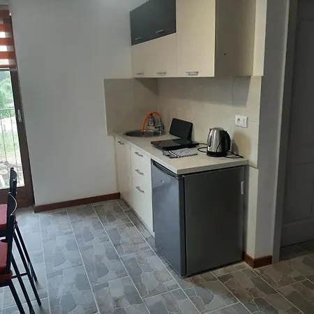 Ime Ruze Banja Vrujci Apartment